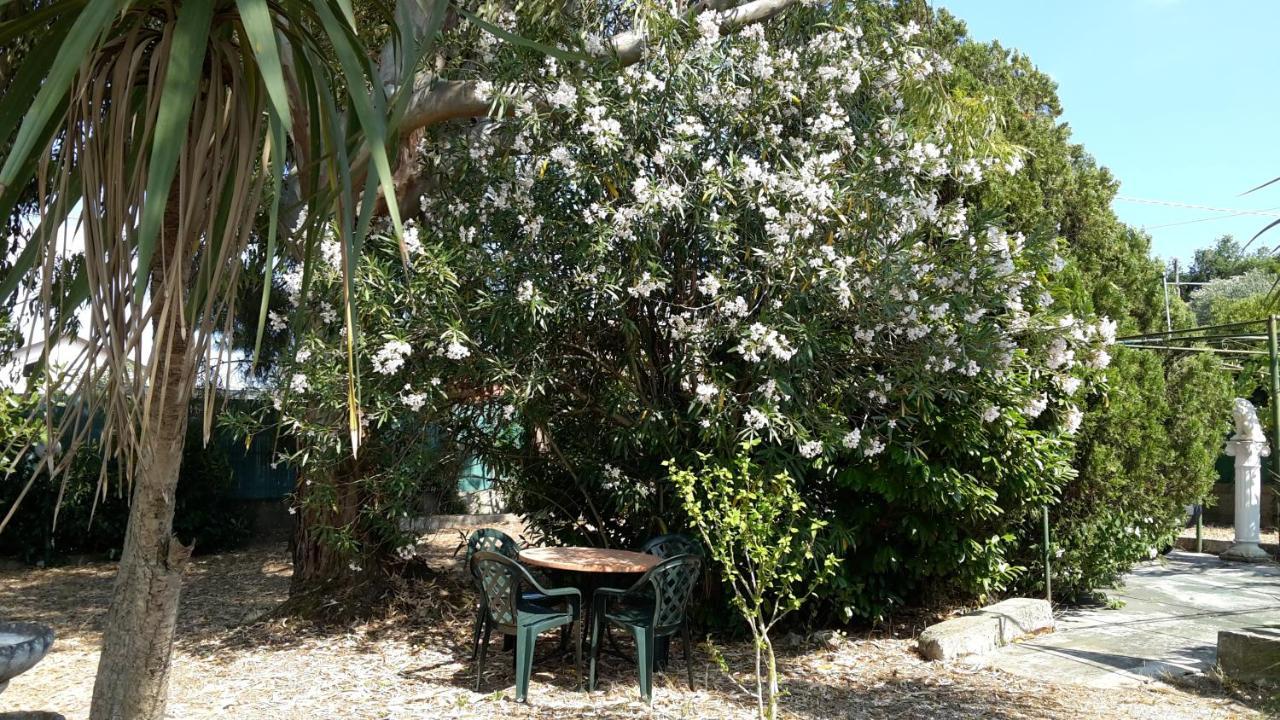 La Marina Gardens Beach Scauri  Exterior foto